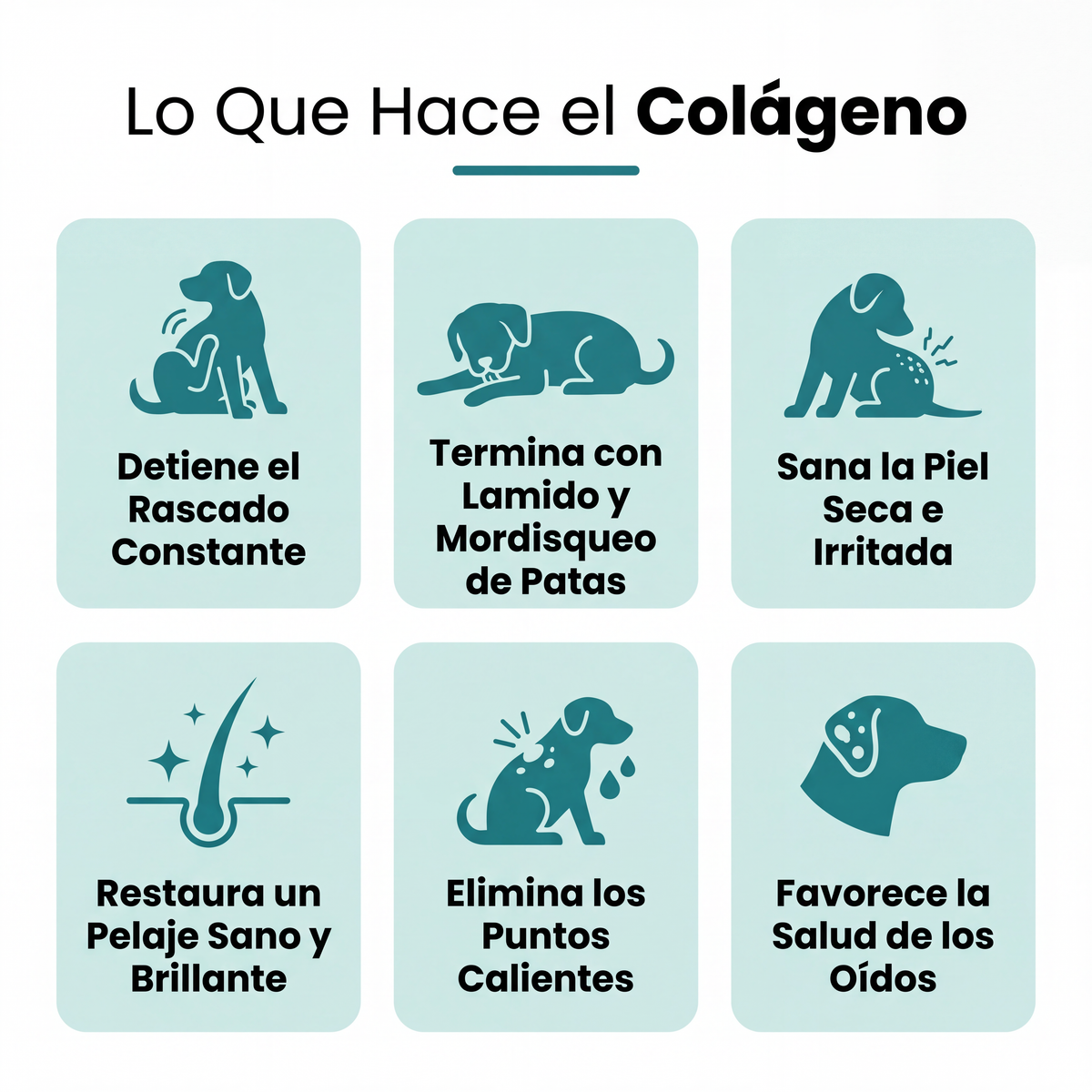 Colágeno Líquido Premium para Mascotas