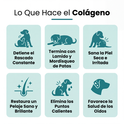 Colágeno Líquido Premium para Mascotas