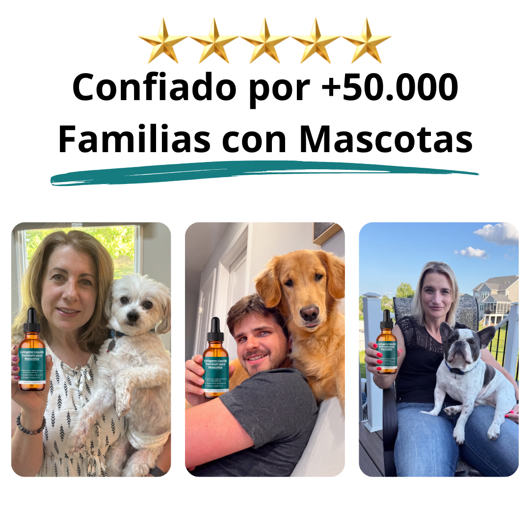 Colágeno Líquido Premium para Mascotas
